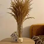 Bombonyerka * Drohobyč